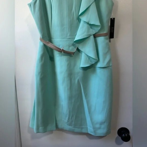 New Alex Marie Sleeveless Dress Sz 12 - Picture 5 of 11